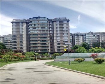 太陽能殺蟲燈-陜西省西安市曲江南湖小區路燈項目